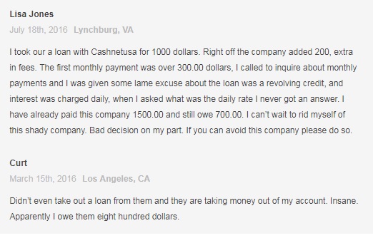 CashNetUSA review5