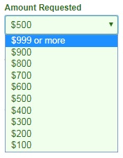 amount of loan